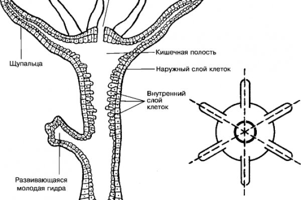 Кракен сайт kraken014 com